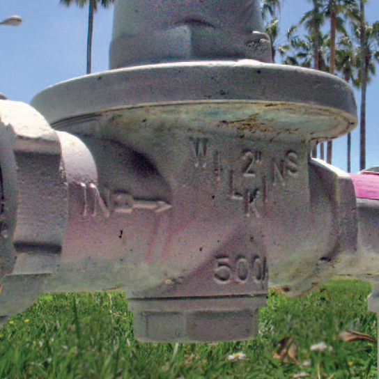 Harold Frank Hall: oceanside lawn